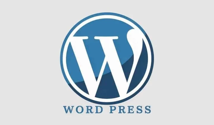 Digital marketing specialist in Dubai using tool wordpress